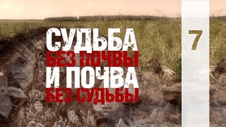 КТО МЫ? || СУДЬБА БЕЗ ПОЧВЫ И ПОЧВА БЕЗ СУДЬБЫ | 6