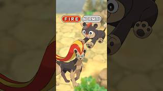 Famous Pokemon Type Combos With Only TWO Pokemon! Wealth