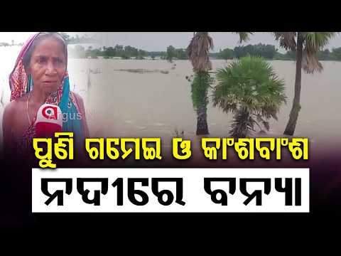Third Flood In A Month: Basudevpur Farmers Devastated As Rivers Swell | Argus News
