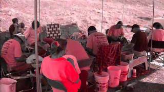 Finegold Knap In 2008.Wmv