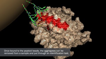 How it works: A game-changing new test for prion disease