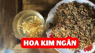 Tác dụng của kim ngân hoa(hoa kim ngân) và mua Kim Ngân Hoa ở đâu SĐT: 0869145860