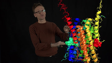 Concept 27: Hydrophilic residues in membrane proteins are important functional exceptions