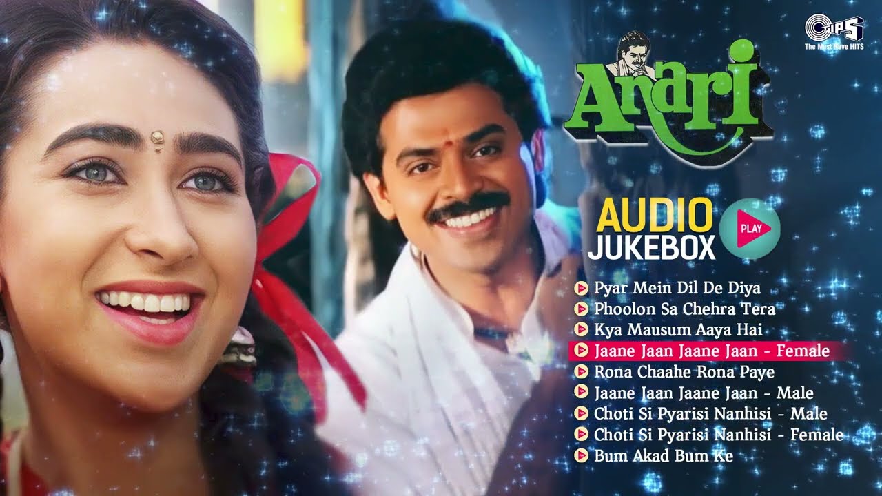 Anari Full Movie | Audio Jukebox | Karisma Kapoor, Venkatesh, Anand Milind | Bollywood Hindi Songs