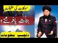 موکلات کی حقیقت جن ات یا فرشتے دلچسپ معلومات RahamTV موکلات کی حقیقت جن ات یا فرشتے دلچسپ معلومات RahamTV