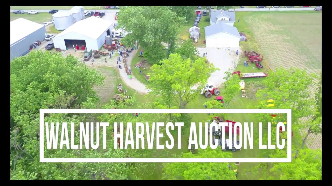 Walnut harvest Auction YouTube