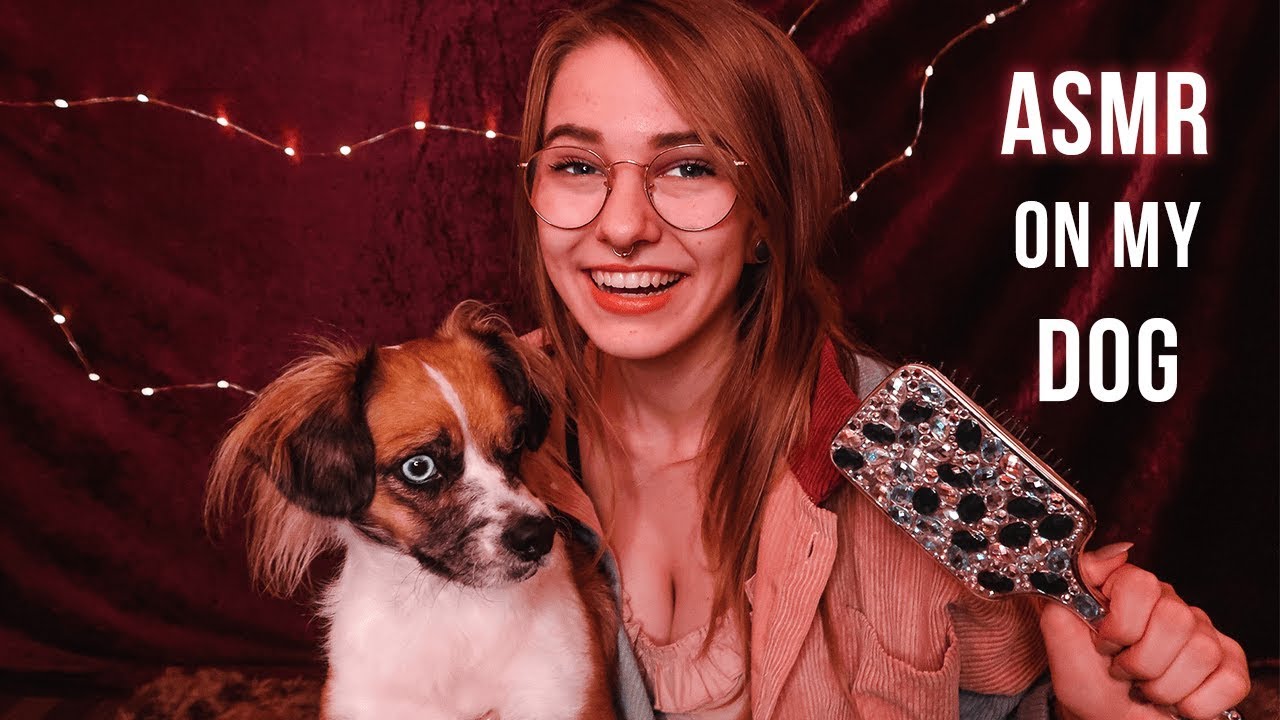 ASMR | Entspanntes ASMR mit meinem Hund (deutsch) | Bürsten, Massage.. | Soph Stardust