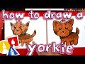 How To Draw A Yorkie