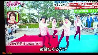 5月21日ぽかぽかにてSHOW-WA君の王子様#ぽかぽか#SHOW-WA#秋元康プロデュース#君の王子様#まさきち体調不良で不在#まさきちパートみんなで歌ってた