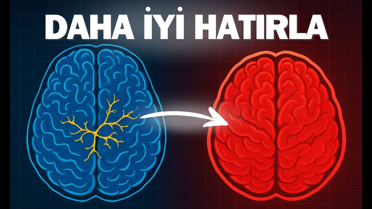 Nasıl Okuduğun Her Şeyi Hatırlarsın? - Gizli Öğrenme Taktikleri!