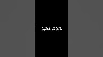 ألم تر كيف فعل ربك بأصحاب الفيل #سورة_الفيل  #ماهر_المعيقلي