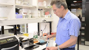 Promega Maxwell DNA/RNA extraction LEV SEV hardware