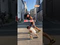 5歳児のかけっこが速くなる方法【運動神経向上教室】#アスリート #運動神経向上 #かけっこ