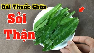 Sỏi thận nhiều đến mấy cũng hết sạch chỉ với 1 nắm rau mùi tàu _Mẹo chữa bệnh
