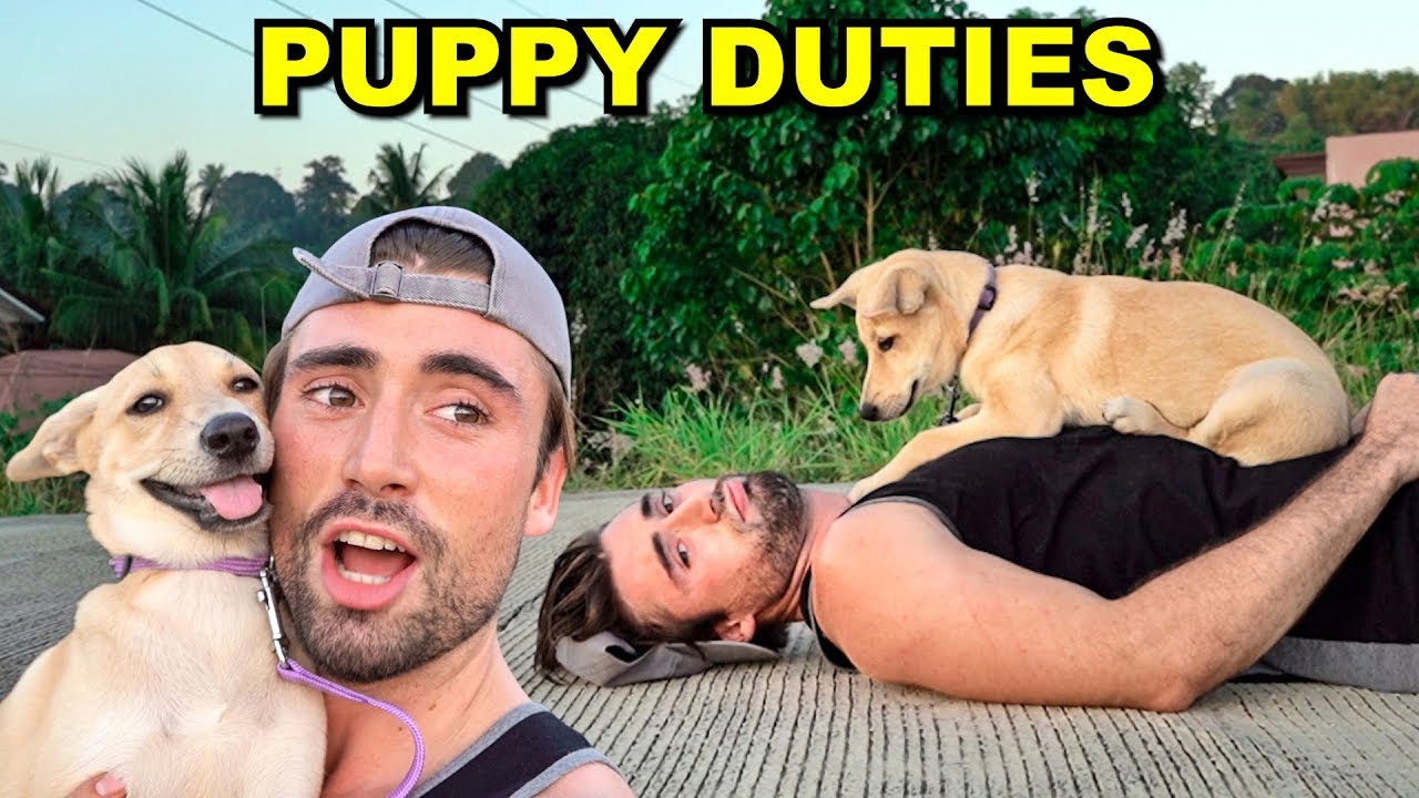 TAKING MY PUPPY FOR A WALK IN THE PHILIPPINES FOR THE FIRST TIME