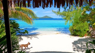 Tropical Villa Ambience: A Peaceful Escape in French Polynesia screenshot 3