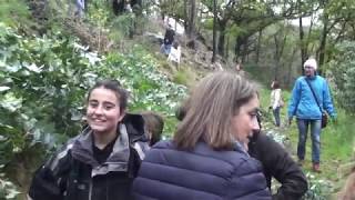 Alcolitos (tributo)