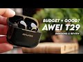 Are Budget Earbuds a Good Idea? Awei T29