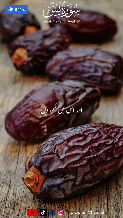 Surah Yaseen urdu translation only (Yasin) سورة يس | urdu tarjuma #surahyaseen #surahyasin #quran