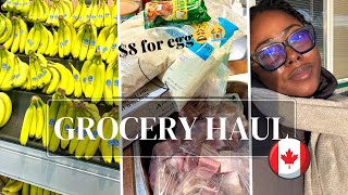VLOG: How much I Spend on GROCERIES as a Student in Canada | Cost of Winter Gear + more