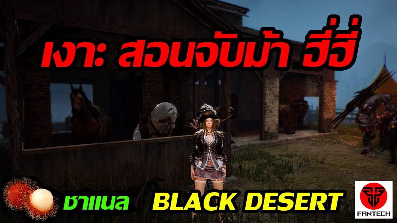 Black Desert Online : เงาะ สอนจับม้า ฮี่ฮี่