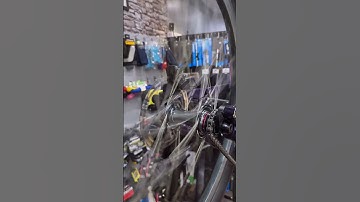 Halo Chaos Team Wheelset 🔥