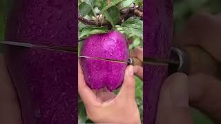 Фиолетовое яблоко  Джон Уик 5