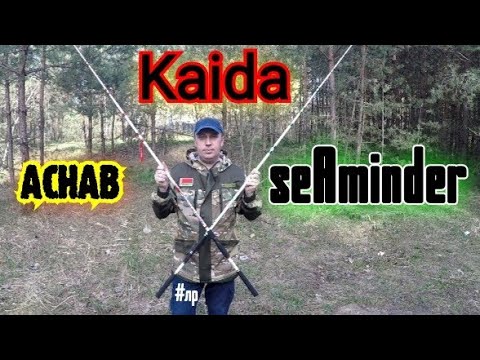 Kaida Achab//seAminder. Бюджетный