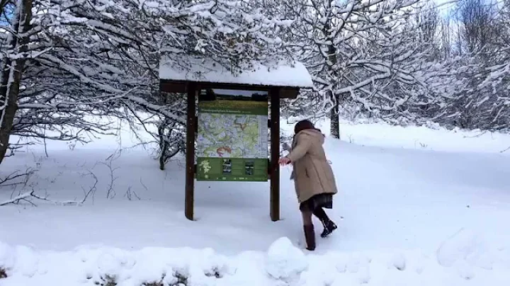 Snow, Snow, Snow!