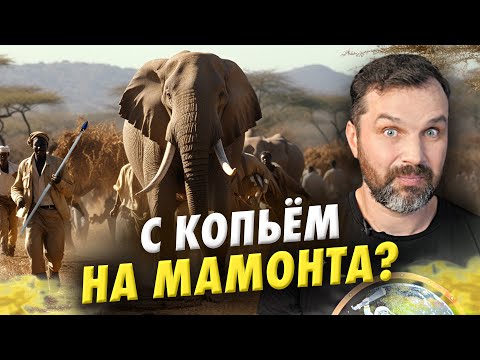 Охота на слонов с копьями: опасный эксперимент | Александр Соколов. Нешуточная наука