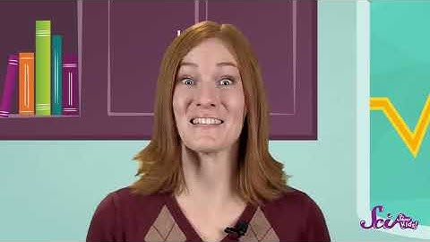 What is Sound? | Physics for Kids | SciShow Kids