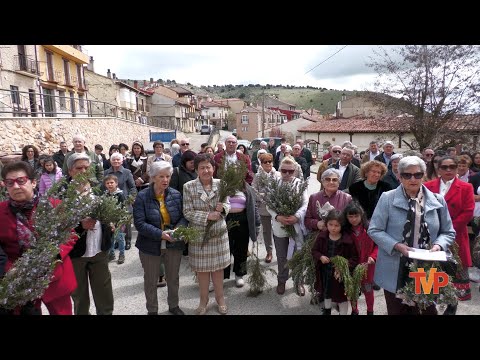Procesión y bendición del Domingo de Ramos - Huerta de Rey 2025