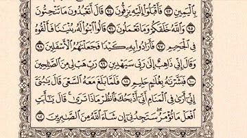 تلاوة فجرية  || من سورة الصافات || عبدالله بن محمد