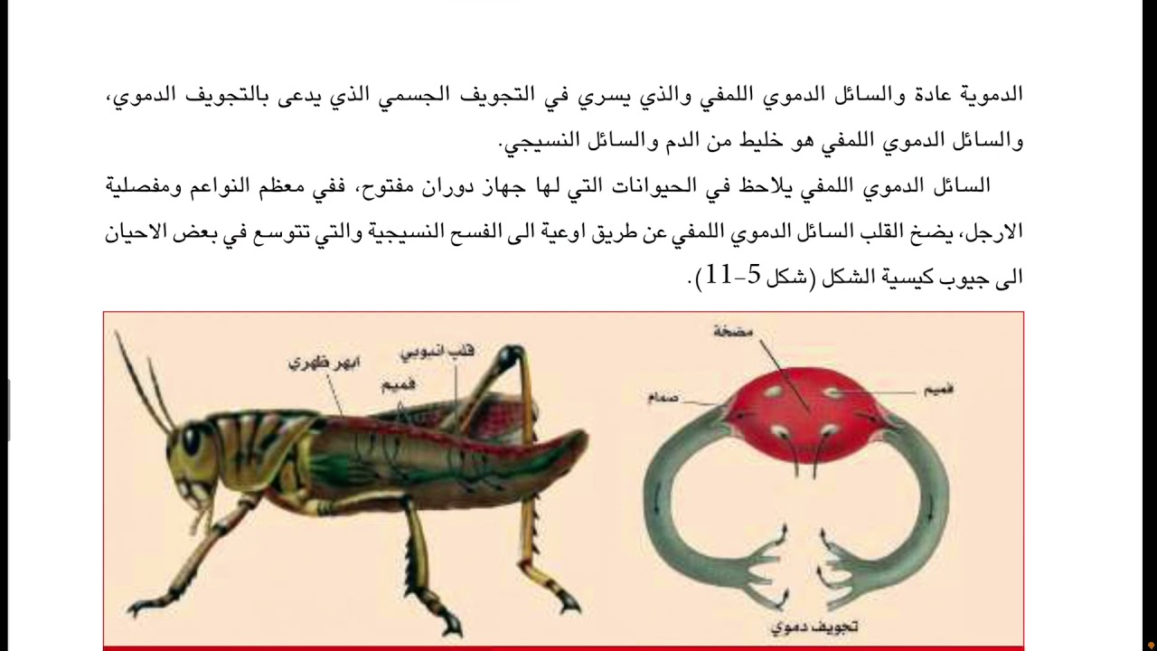 يقوم الاستنتاج ب التواصل الملاحظة العالم لاختبار ما التجربة فرضية لاختبار فرضية