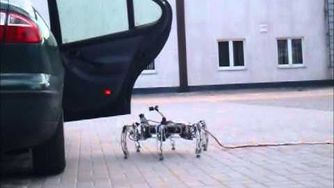 Gait generation for hexapod walking robots
