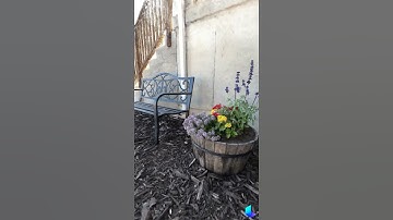 3D NeRF Example: Flowers & Bench