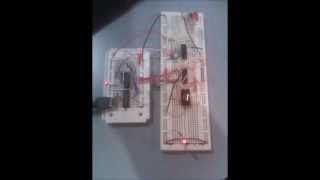 Phase 2 Binary and Decimal Counter - Breadboard Fun