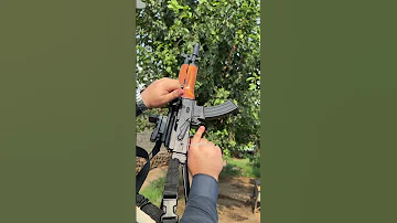 Hybrid Ak 102 PAS 