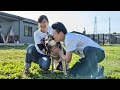 みやぞん、保護犬カフェに行く