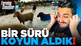 SONUNDA HAYVANCILIĞA BAŞLADIK! ÇİFTLİĞİMİZ BÜYÜYOR! Farming Simülator 5