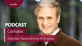 Cannabis-Gesetz geht zu weit | Podcast Kekulés Gesundheits-Kompass | MDR