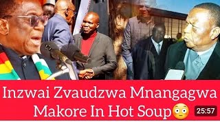 Live:Dzingai VP Chiwenga muwone shefu tinokukanganwayi warning from military watch...
