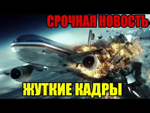 ОТКУДА ОНИ ВЫПОЛЗАЮТ !!! ЭТИ ТВАРИ ПОВСЮДУ!!!