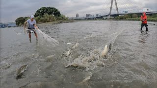 Kumpulan Video Jala Ikan Yang Sangat Langka Hasilnya Seperti Ini / Amazing Cast Net Fishing