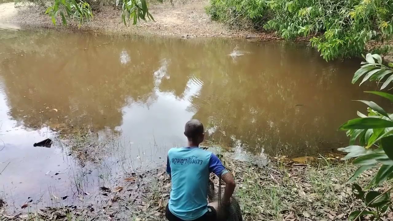 วันนี้เขาได้มาหว่านแหจอบบ้อน