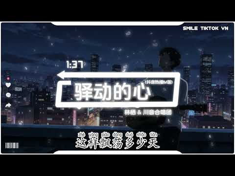 林栖 & 川音合唱团 - 驿动的心 (合唱版) (抖音热播DJ版) Yi Dong De Xin『曾经以为我的家，是一张张的票根，撕开后展开旅程。』【2k26抖音火流行歌曲推荐TikTok】