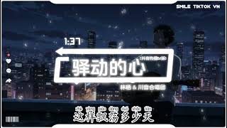 Download Lagu 林栖 \u0026 川音合唱团 - 驿动的心 (合唱版) (抖音热播DJ版) Yi Dong De Xin『曾经以为我的家，是一张张的票根，撕开后展开旅程。』【2k26抖音火流行歌曲推荐TikTok】 MP3