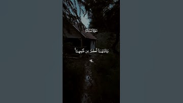 قرآن كريم راحة نفسية 🤍🎧 متابعة للصفحة فصلاً #قرآن #قران_كريم