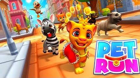 pet run - puppy dog Game- android gaming