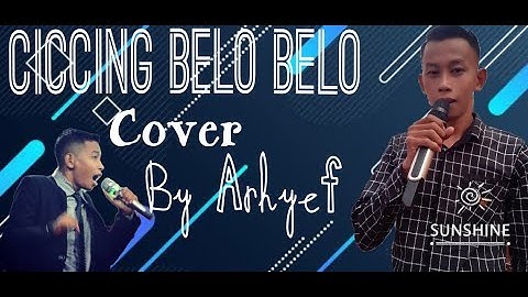 CICCING BELO BELO CIPT. SHANDY R (dipopulerkan oleh MUSTAFA BACO) COVER By ARHYEF